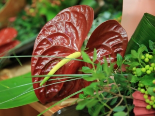 Óvodapedagógusok köszöntése - fotó: 