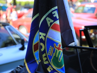 AlfaCity a Szalki-szigeten (2024) - fotó: 