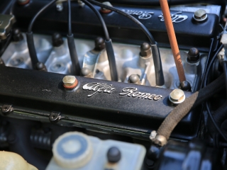 AlfaCity a Szalki-szigeten (2024) - fotó: 