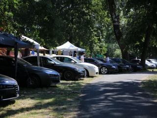 AlfaCity a Szalki-szigeten (2024) - fotó: 