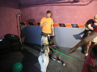 Jägermeister-gyűjtők a Kaptárban (2024) - fotó: 