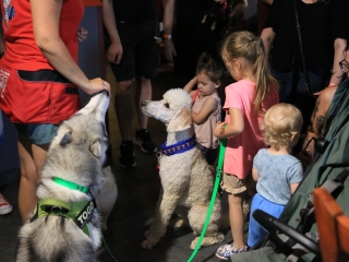 Jägermeister-gyűjtők a Kaptárban (2024) - fotó: 