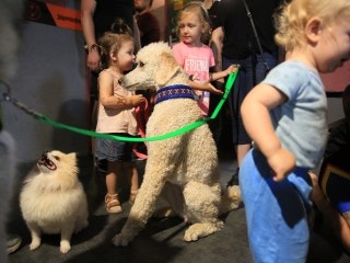 Jägermeister-gyűjtők a Kaptárban (2024) - fotó: 