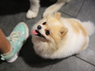 Jägermeister-gyűjtők a Kaptárban (2024) - fotó: 