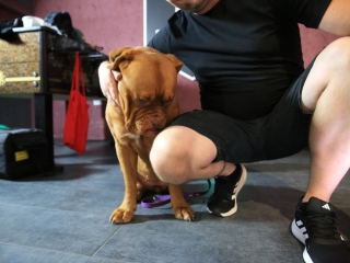 Jägermeister-gyűjtők a Kaptárban (2024) - fotó: 