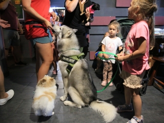 Jägermeister-gyűjtők a Kaptárban (2024) - fotó: 