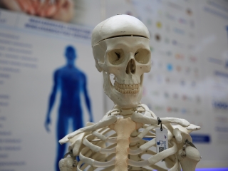 Egészség- és Családi Napok a Városháza téren - fotó: 