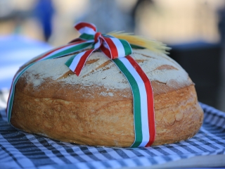 Augusztális a Szalki-szigeten (2024) - fotó: 