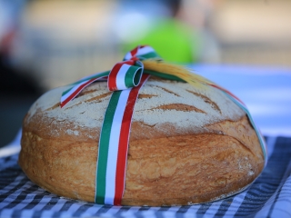 Augusztális a Szalki-szigeten (2024) - fotó: 