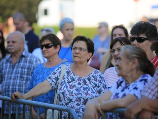 Augusztális a Szalki-szigeten (2024) - fotó: 