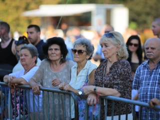 Augusztális a Szalki-szigeten (2024) - fotó: 