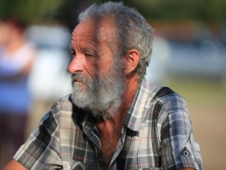 Augusztális a Szalki-szigeten (2024) - fotó: 