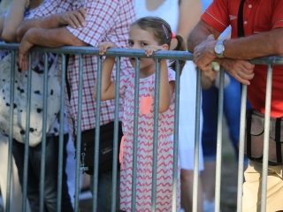 Augusztális a Szalki-szigeten (2024) - fotó: 