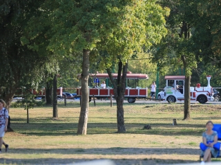 Augusztális a Szalki-szigeten (2024) - fotó: 