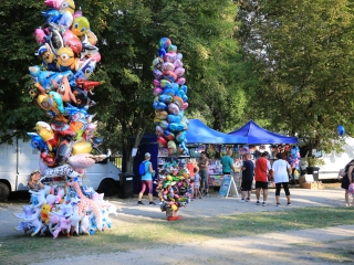 Augusztális a Szalki-szigeten (2024) - fotó: 