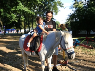 Augusztális a Szalki-szigeten (2024) - fotó: 