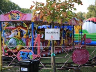 Augusztális a Szalki-szigeten (2024) - fotó: 