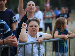 Augusztális a Szalki-szigeten (2024) - fotó: 