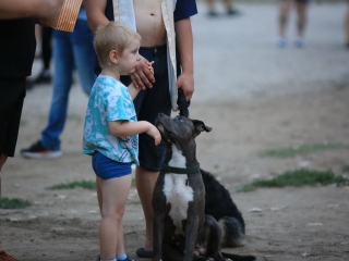 Augusztális a Szalki-szigeten (2024) - fotó: 