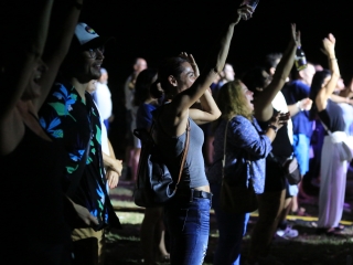 Augusztális a Szalki-szigeten (2024) - fotó: 