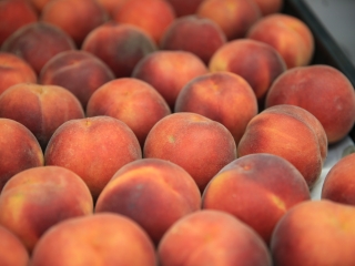 Nyárbúcsúztató Csomagtartóvásár - fotó: 