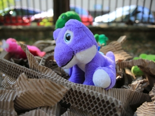 Nyárbúcsúztató Játékfesztivál (2024)  - fotó: 