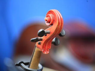 Az MMK és a József Attila Könyvtár közös születésnapja - fotó: 