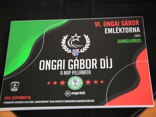 VI. Ongai Gábor Emléktorna - fotó: 