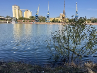 Tetőzött a folyam – holnaptól már apad - fotó: 
