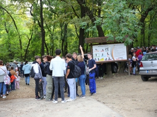 Takarítási világnap (2024) - fotó: 