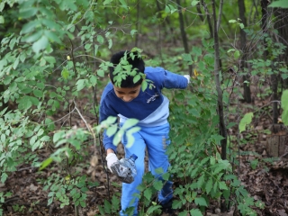 Takarítási világnap (2024) - fotó: 