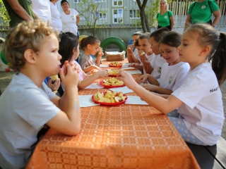 Ovi Foci Kupa II. forduló (2024) - fotó: 