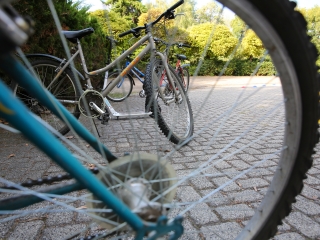 Autómentes nap a Petőfi ligetben (2024) - fotó: 