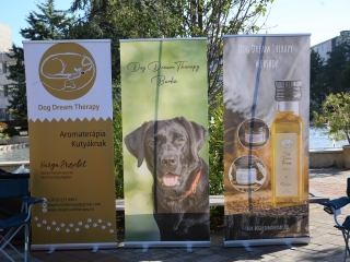 LEAF-születésnap a felelős állattartás jegyében - fotó: 