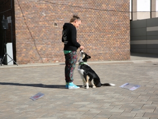 LEAF-születésnap a felelős állattartás jegyében - fotó: 
