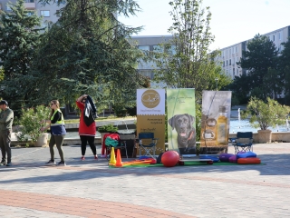 LEAF-születésnap a felelős állattartás jegyében - fotó: 