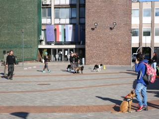 LEAF-születésnap a felelős állattartás jegyében - fotó: 