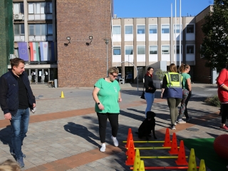 LEAF-születésnap a felelős állattartás jegyében - fotó: 