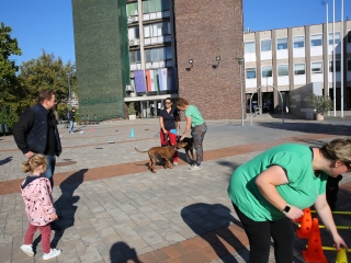 LEAF-születésnap a felelős állattartás jegyében - fotó: 