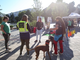 LEAF-születésnap a felelős állattartás jegyében - fotó: 