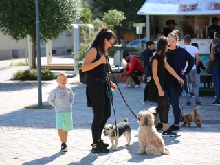 LEAF-születésnap a felelős állattartás jegyében - fotó: 