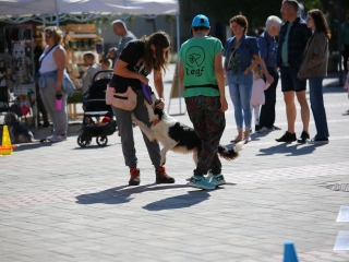 LEAF-születésnap a felelős állattartás jegyében - fotó: 