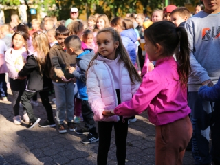 Mozdulj, Dózsa 45! - fotó: 