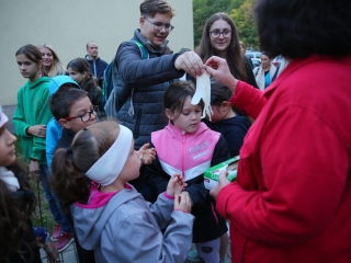Világnapi koncert és virágültetés a zeneiskolánál (2024) - fotó: 
