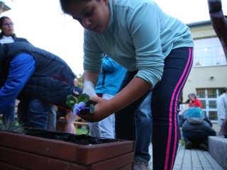 Világnapi koncert és virágültetés a zeneiskolánál (2024) - fotó: 