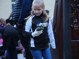 Világnapi koncert és virágültetés a zeneiskolánál (2024) - fotó: 