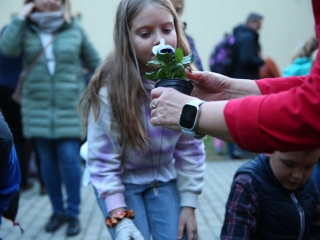 Világnapi koncert és virágültetés a zeneiskolánál (2024) - fotó: 