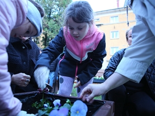 Világnapi koncert és virágültetés a zeneiskolánál (2024) - fotó: 
