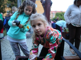 Világnapi koncert és virágültetés a zeneiskolánál (2024) - fotó: 