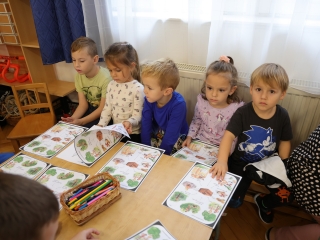 Zöld értékek az Aranyalma tagóvodában - fotó: 